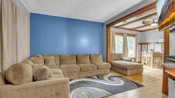 Smart TV, fireplace, books