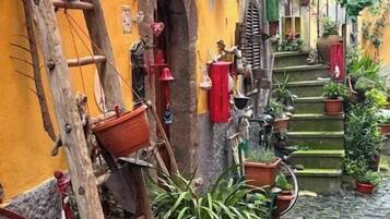 Overnatningsstedets område