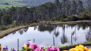 A pond with a fence, surrounded by trees and flowers. - Casa di Palaia (Greve in Chianti)