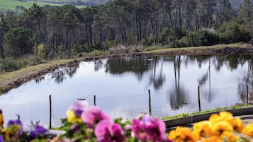 Premium bedding, down duvets, in-room safe, desk