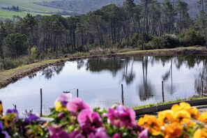 أغطية فراش متميزة وألحفة محشوة بالريش وخزنة داخل الغرفة ومكتب