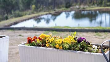 Classic-Zimmer | Ausblick vom Zimmer