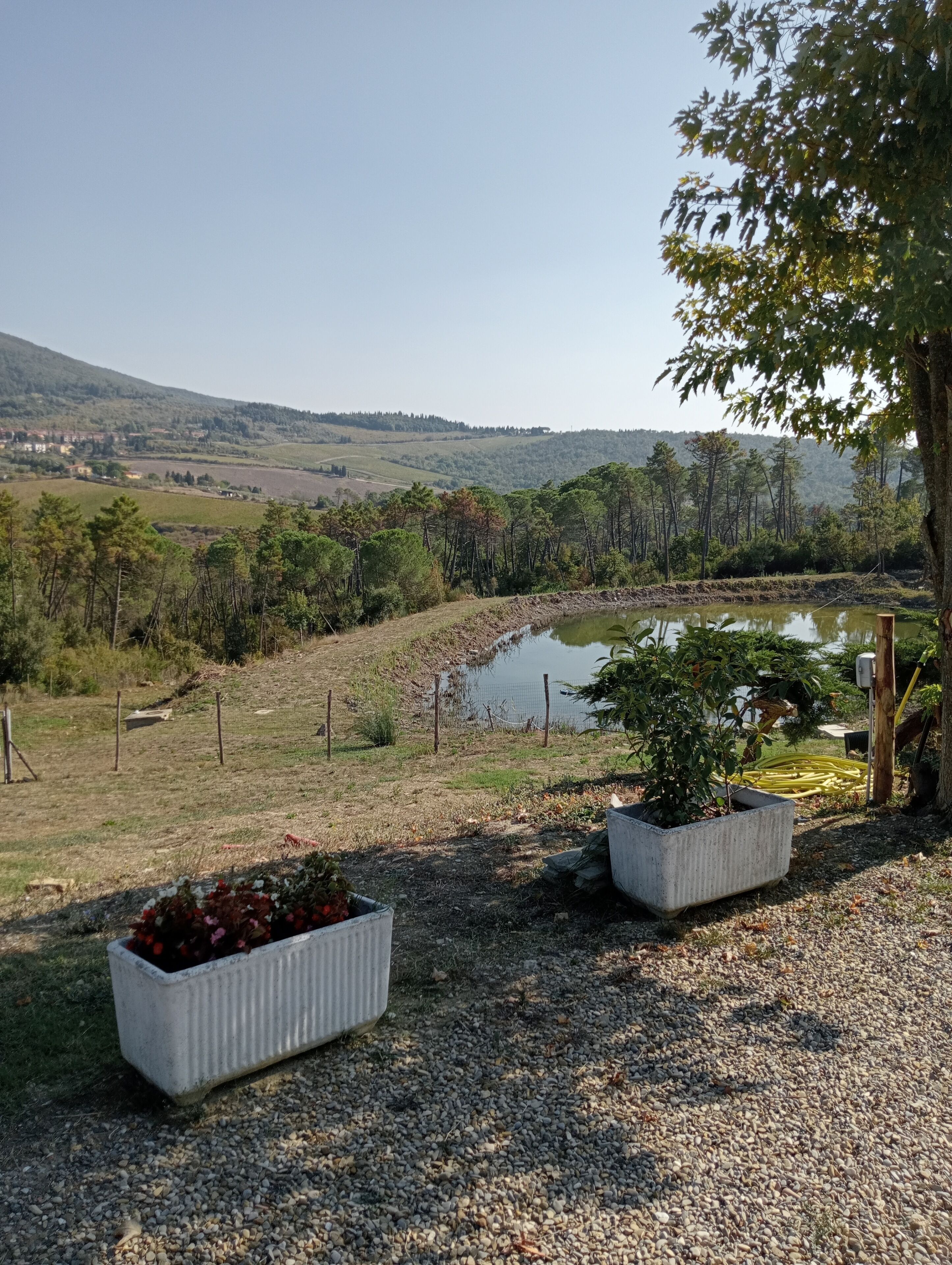 Premium bedding, down comforters, in-room safe, desk