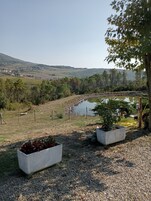 Premium bedding, down comforters, in-room safe, desk