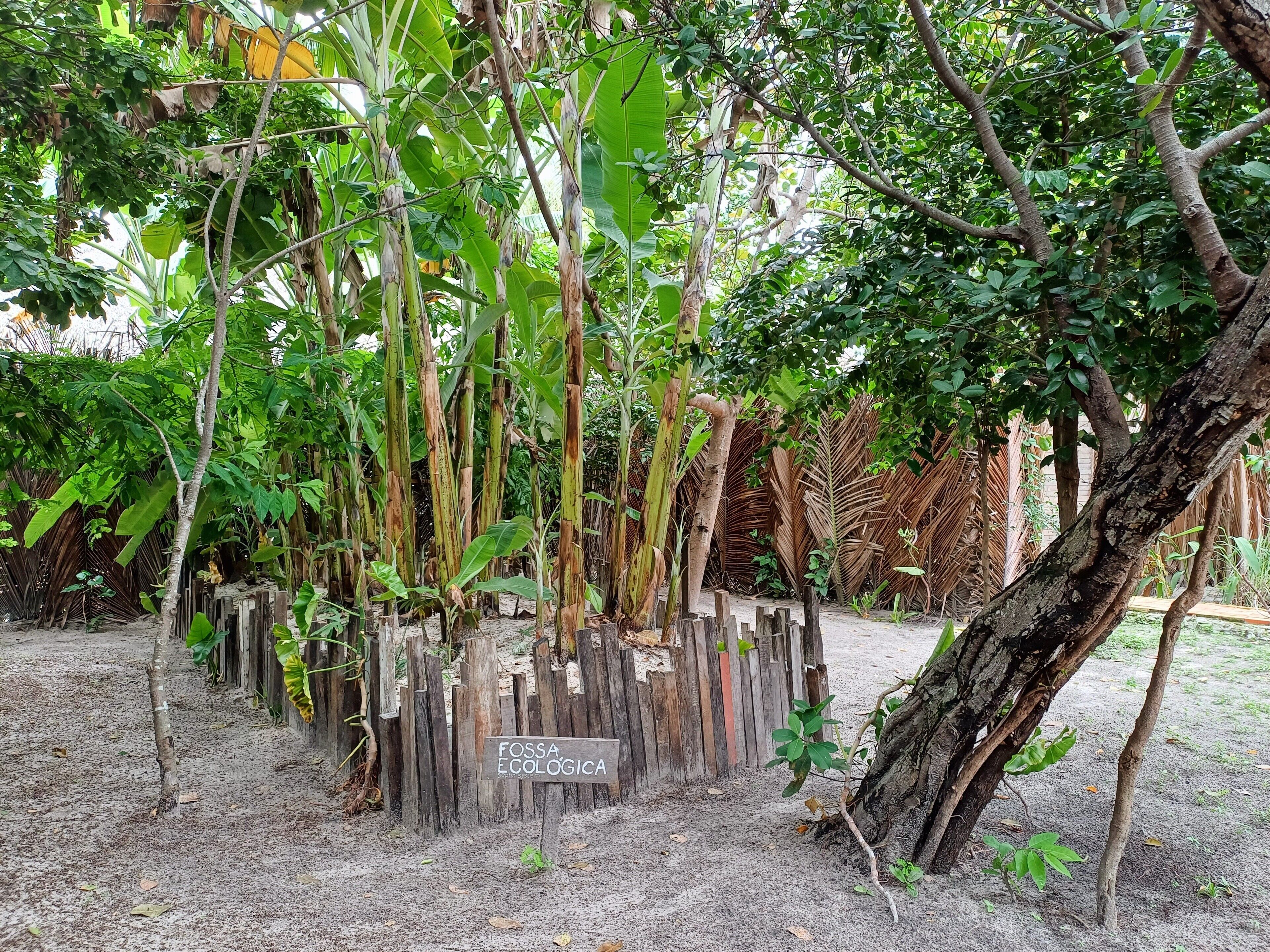 A garden area with a wooden fence, a sign reading "FOSSA ECOLOGICA," and various trees and plants.