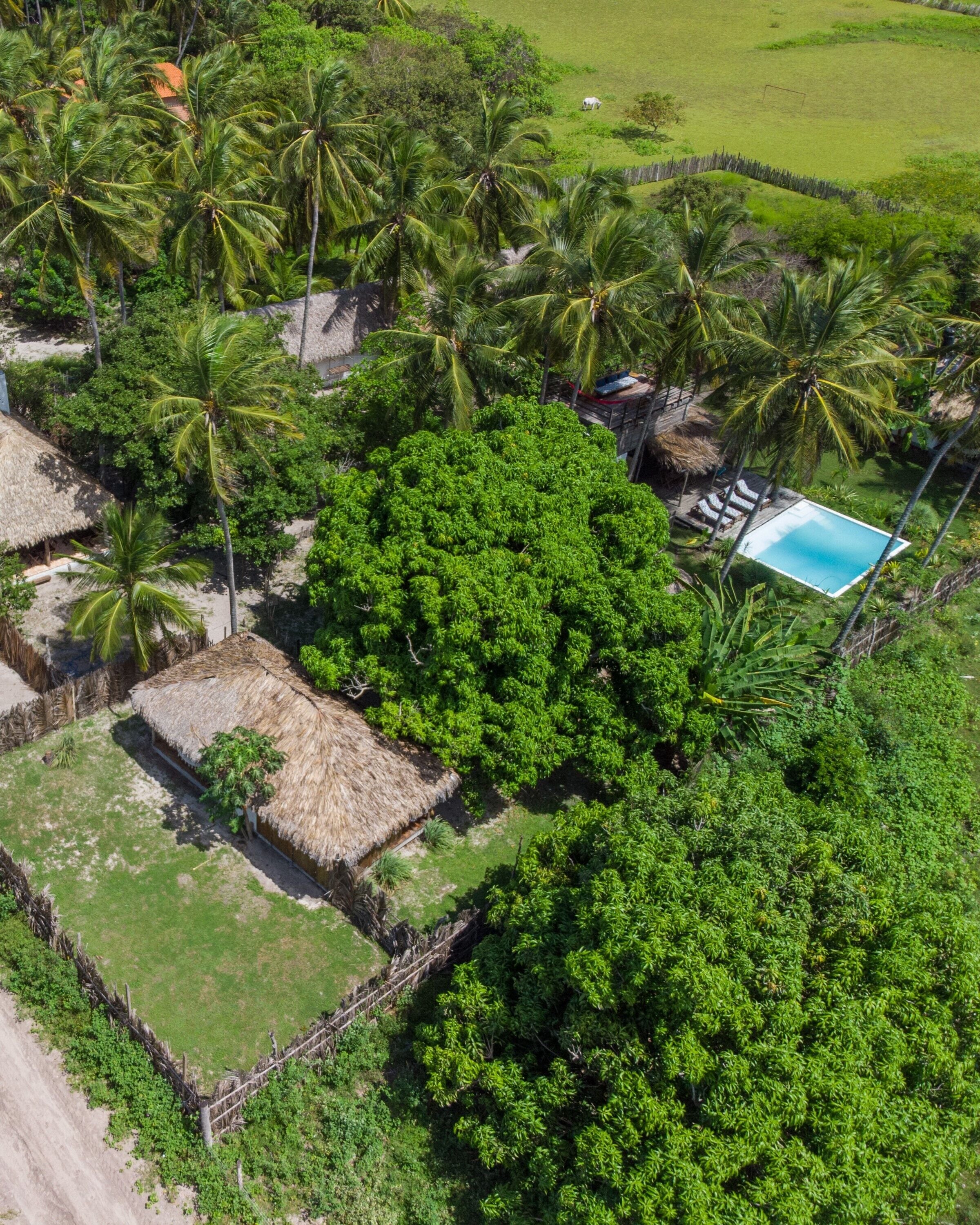 Vue aérienne d’un complexe hôtelier tropical avec des bungalows aux toits de chaume, une piscine et de nombreux palmiers.