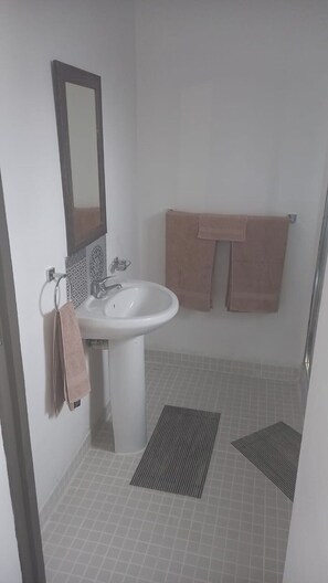 Shower, towels, soap, toilet paper