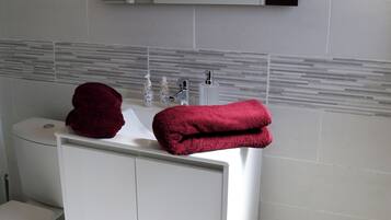 Douche, sèche-cheveux, serviettes fournies, papier toilette