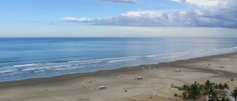Economy Apartment | Beach | Beach nearby