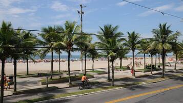 A beachside road with palm trees, a cyclist, and a beach in the background.