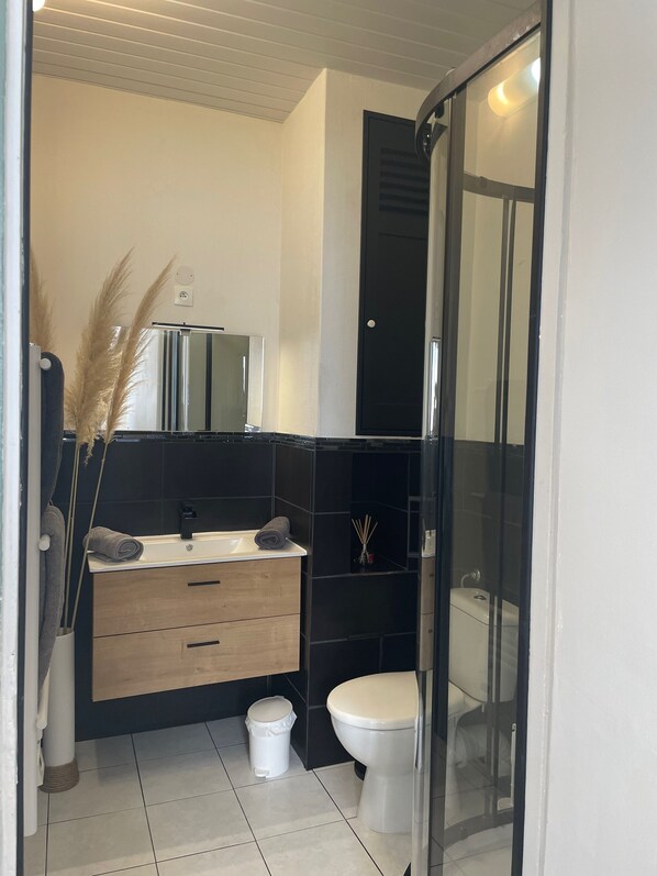 Regadera, secadora de cabello, jabón, papel de baño