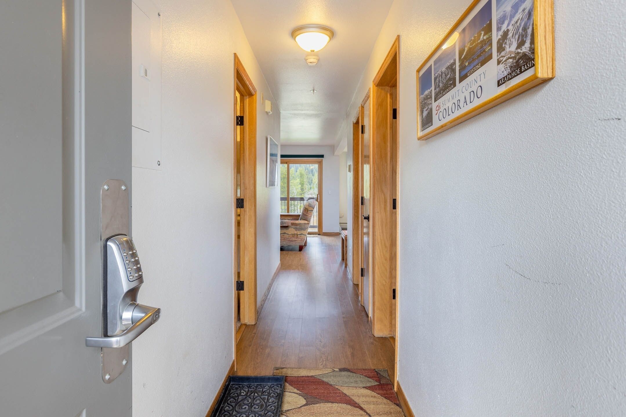 A hallway with a modern door lock, wooden doors, a framed photo of a mountain range, and a carpeted floor.