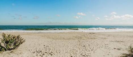 Plage à proximité, chaises longues, serviettes de plage