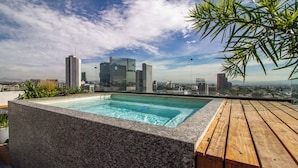 Pool på taget med udsigt over byens skyline, omgivet af træterrasse og grønt.