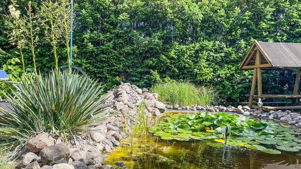 Ein Teich mit Steinen und Seerosen, umgeben von Grünpflanzen und einer Holzkonstruktion.