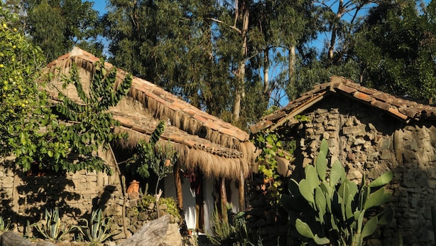 Ein rustikales Steinhaus mit einem strohgedeckten Dach, umgeben von üppiger Vegetation und hohen Bäumen.