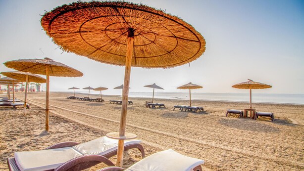 A beach with rows of sun loungers and thatched umbrellas. - Pet friendly home in Los Alcazares (Los Alcazares)