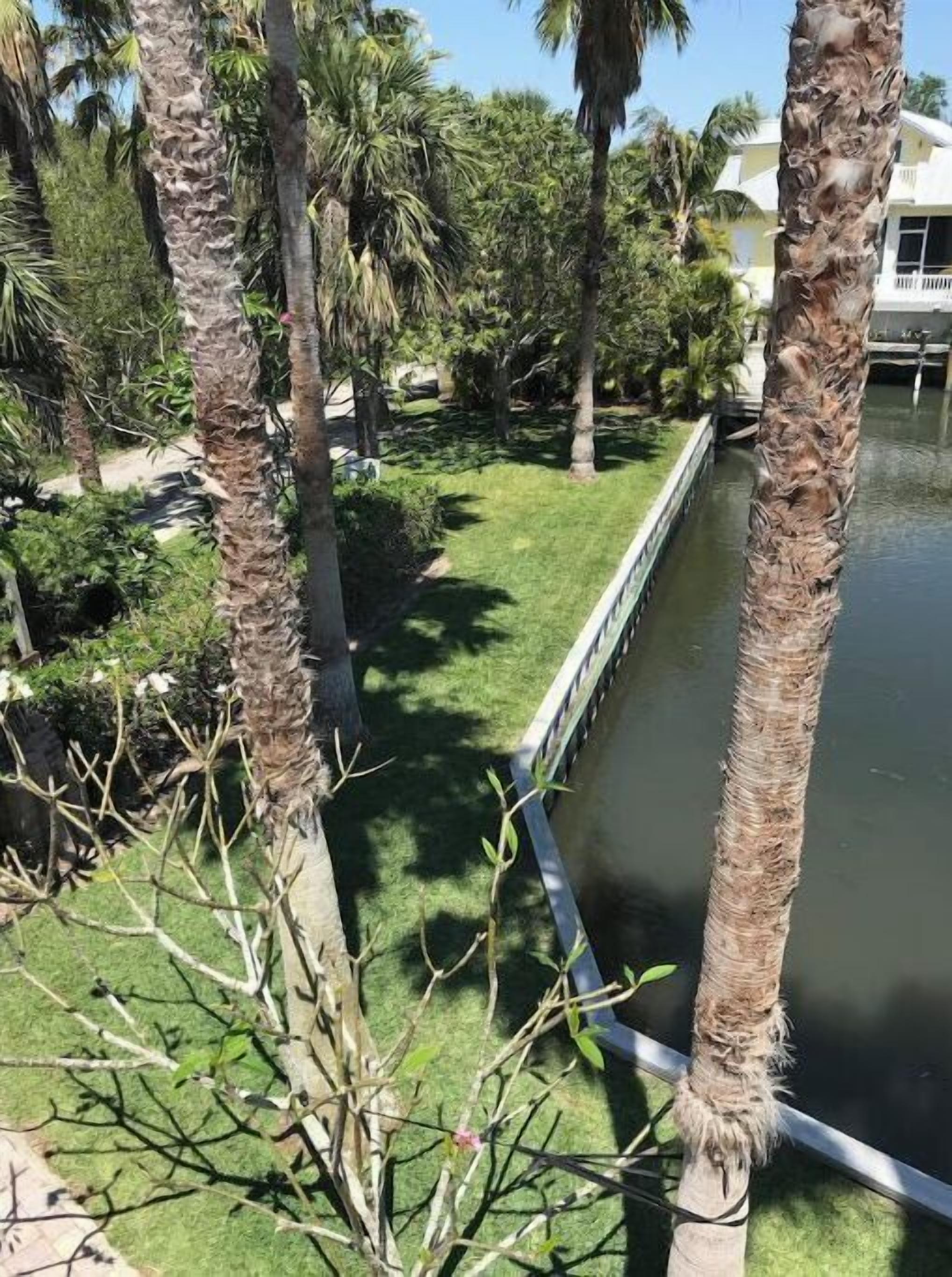 Vista de un área ajardinada con palmeras, una fuente de agua y un edificio al fondo.
