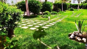 A well-maintained garden with a variety of shrubs and a central lawn area with stepping stones. - Mear Luxury Apartments and Studios (Kantanos-Selino)