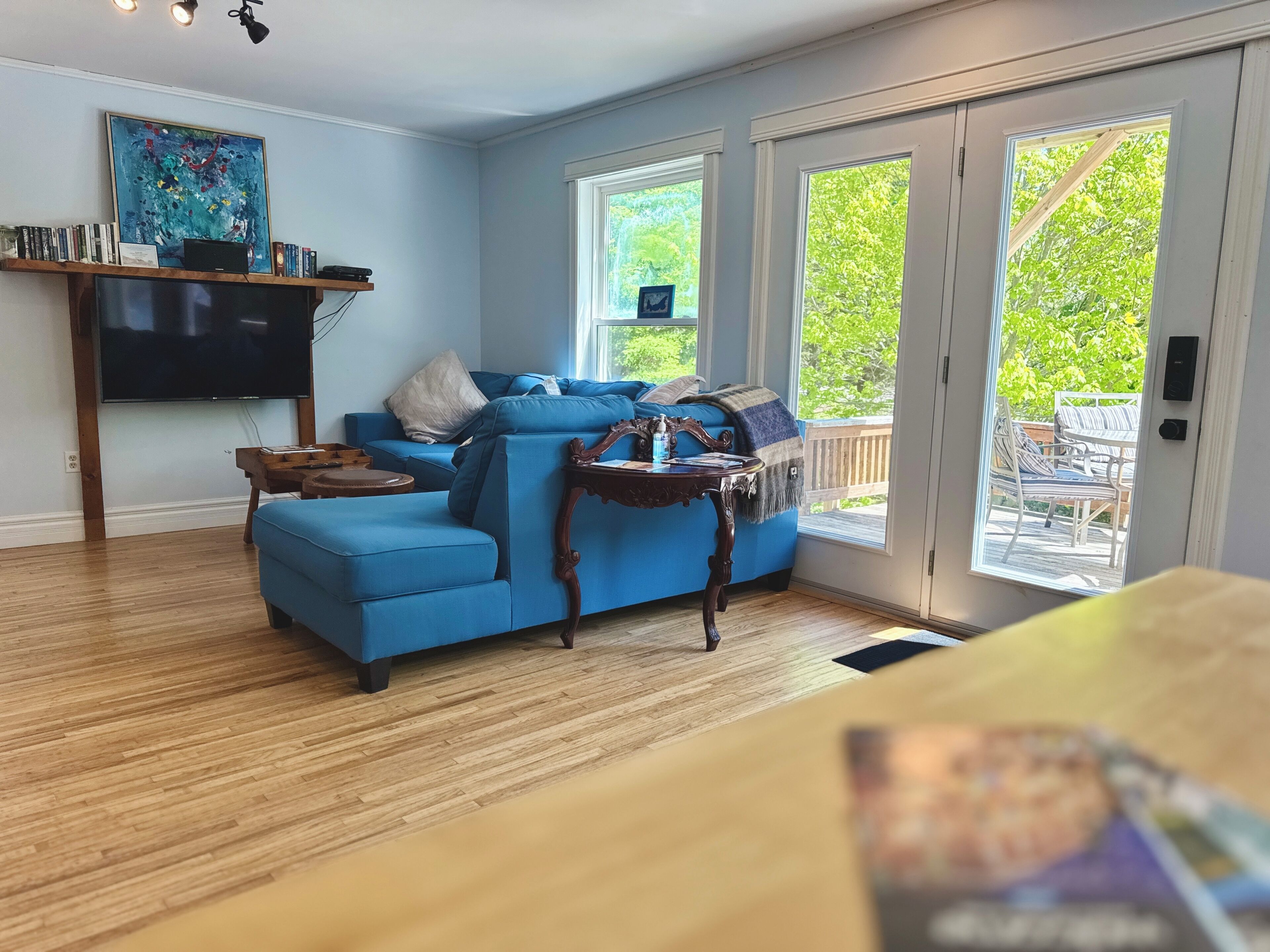 Smart TV, DVD player, books