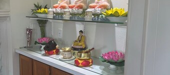 Lovely Surfside View