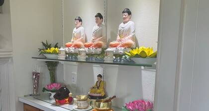 Lovely Surfside View