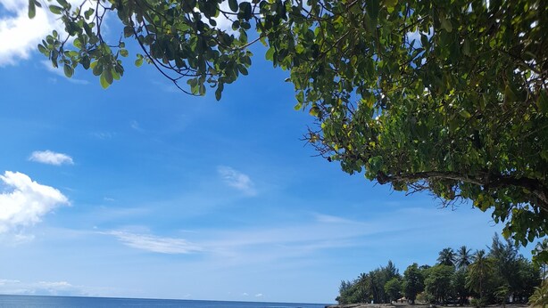 Una playa con agua azul cristalina, orilla de arena y árboles al fondo.
