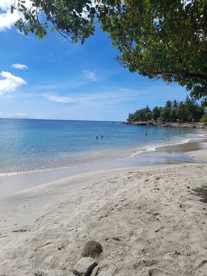A beach with clear blue water, sandy shore, and trees in the background.