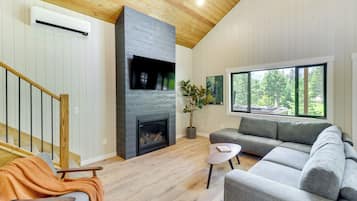 TV, fireplace, books