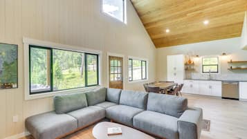 TV, fireplace, books
