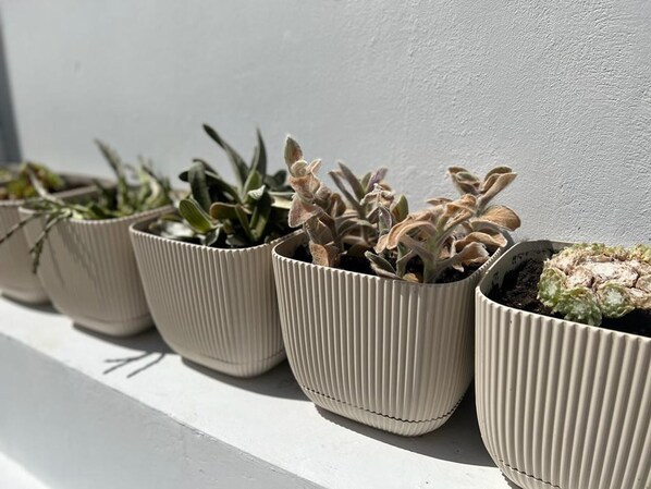 الطعام والشراب