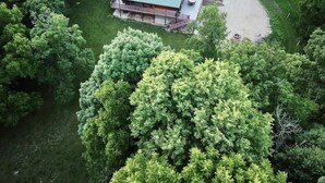 Vista aerea di una casa con tetto verde, circondata da alberi verdi e rigogliosi.