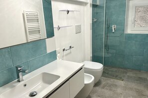 Shower, hair dryer, bidet, towels