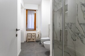 Shower, hair dryer, bidet, towels