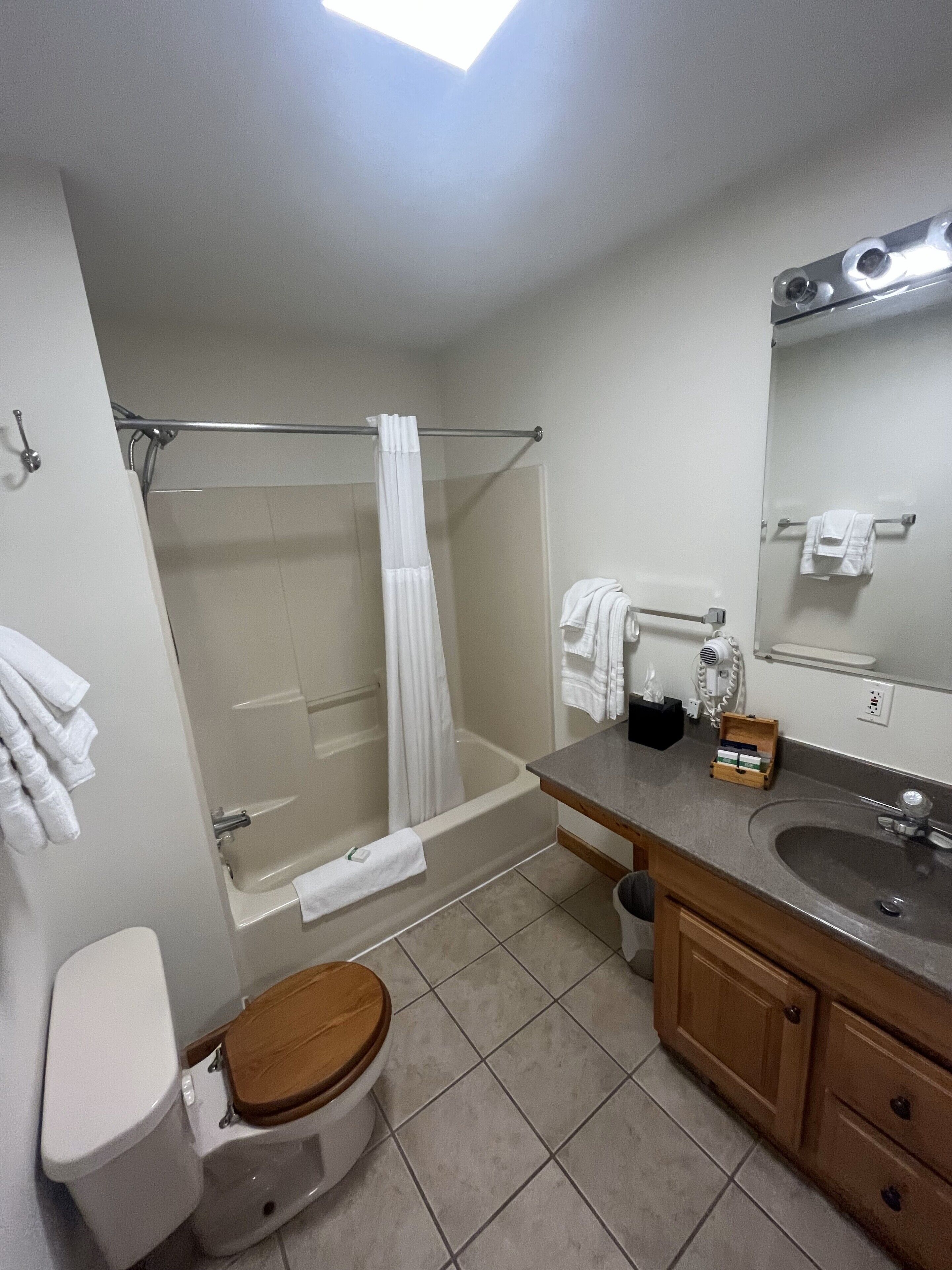 Een badkamer met toilet, douche, bad, wastafel en spiegel.