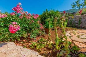 3 عدّة غرف نوم