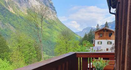 Ferienwohnung Wachterl, 1-4 Personen, 52 qm, Balkon, Wlan, Erdgeschoss