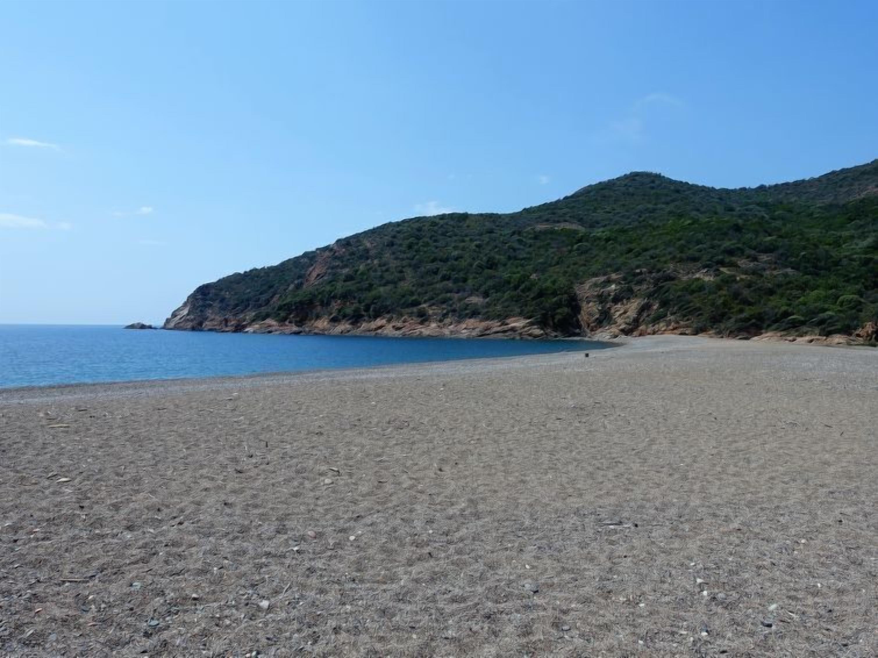 A beach with a clear sky, a sandy shore, and a hill with greenery in the background.