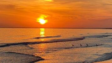 On the beach, sun-loungers