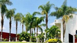 A well-maintained lawn with palm trees and a white building with a red wall in the background. - HOTEL CASCADA (Cuautla)