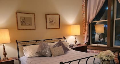 Downtown Cozy Castlerock Suite