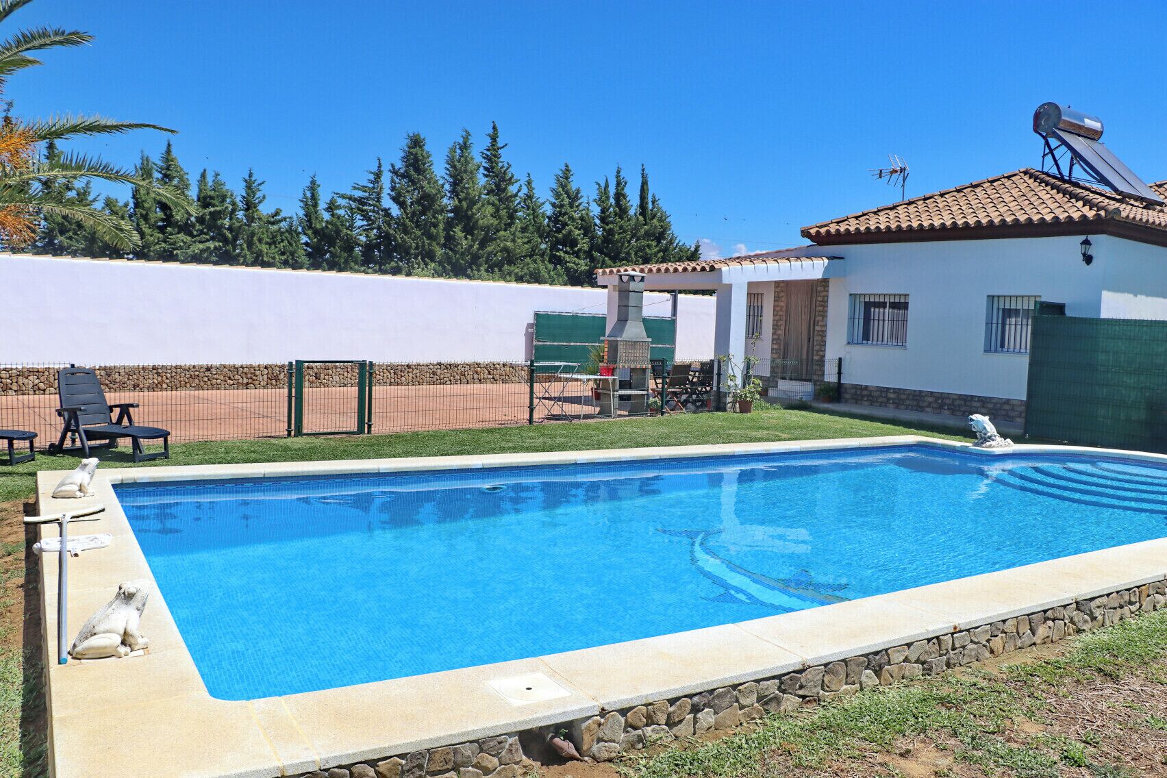 A rectangular swimming pool with a stone border, surrounded by a grassy area and a white wall.