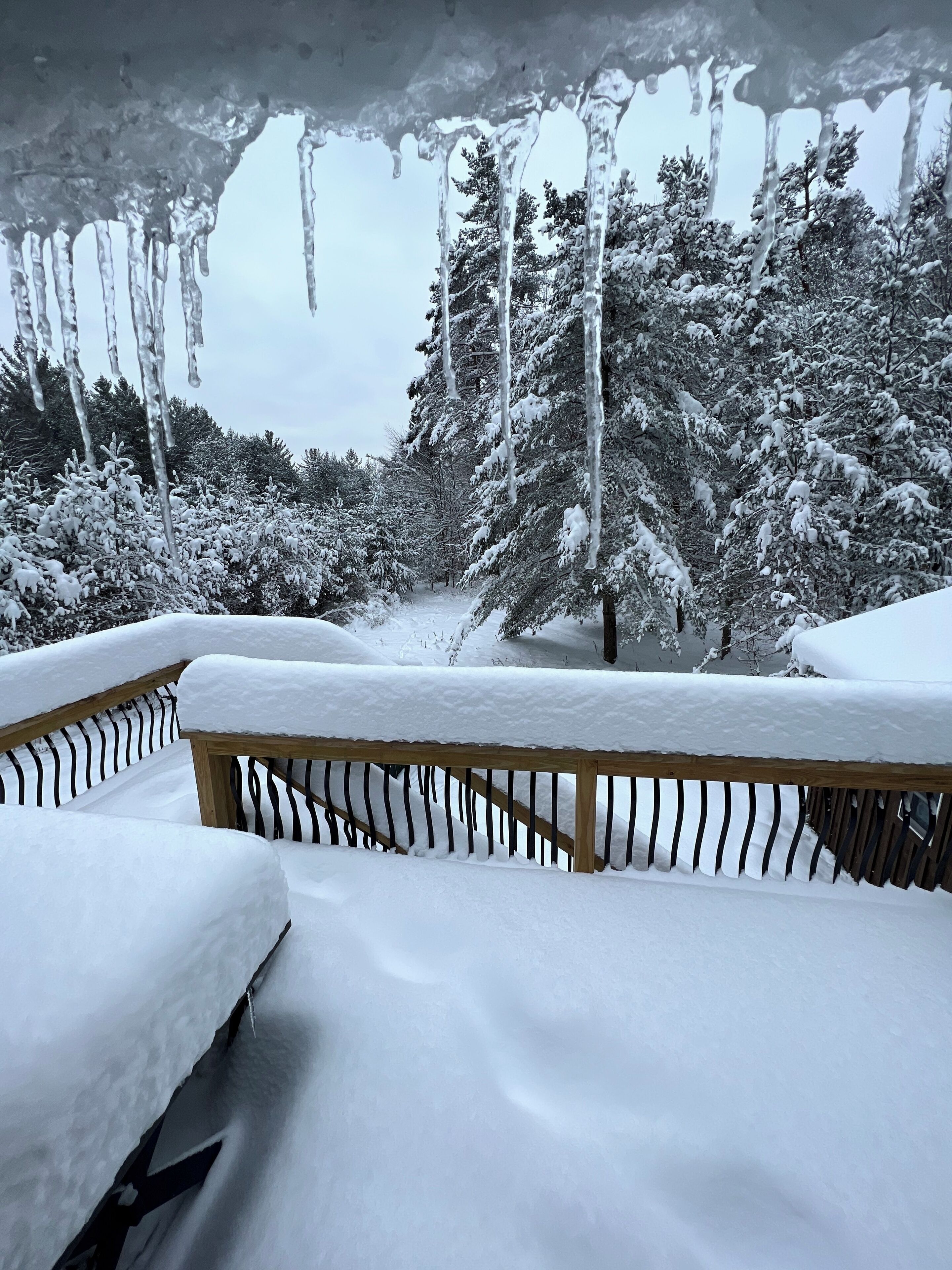A snow-covered deck with a wooden railing, surrounded by snow-laden trees.