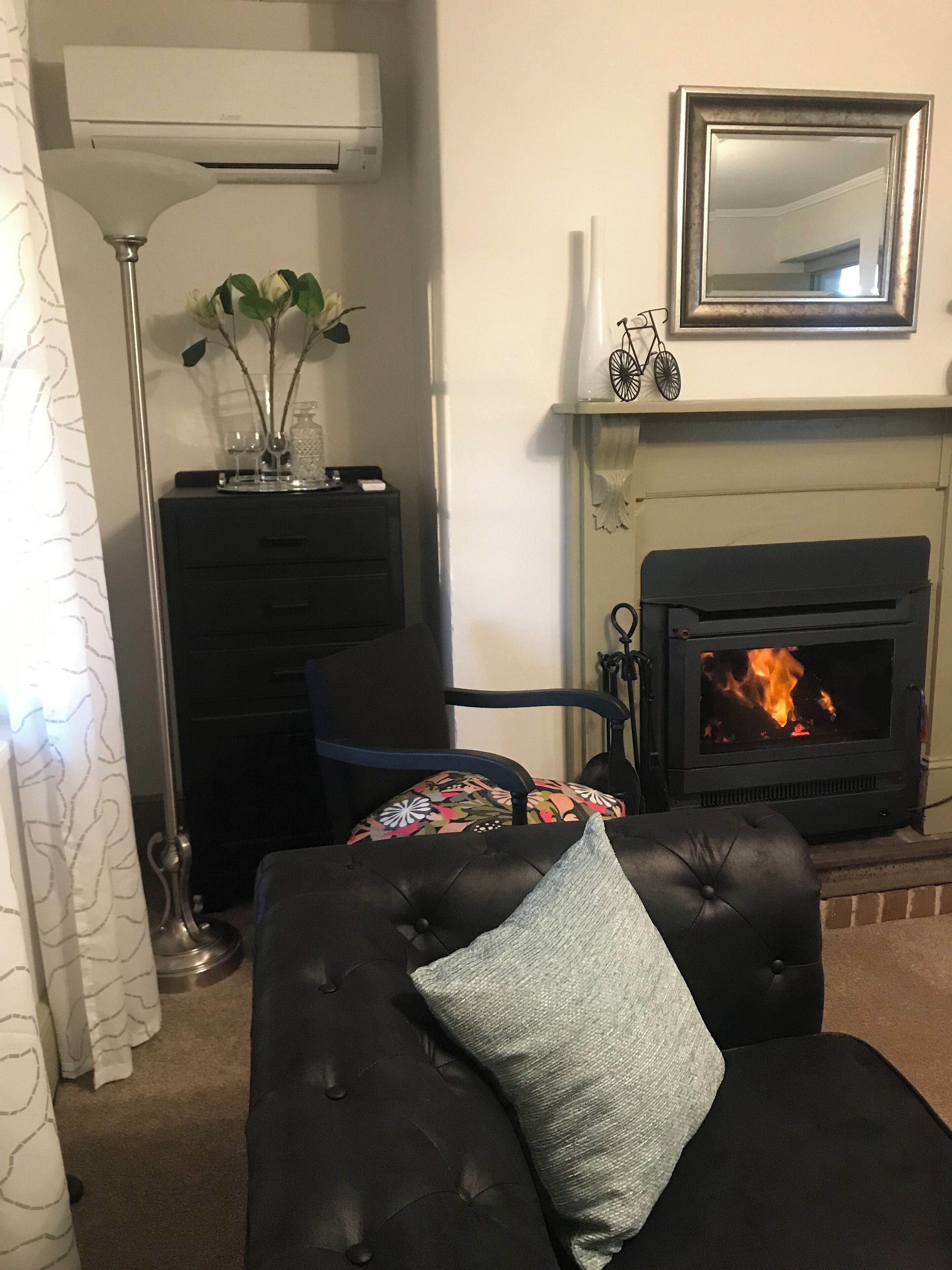 Smart TV, fireplace, books