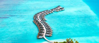 Joy Island 