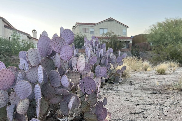 Desert island in your backyard