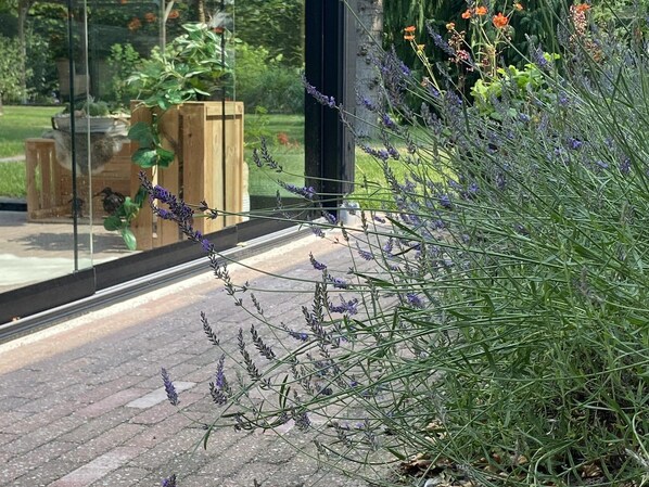 Terrein van de accommodatie