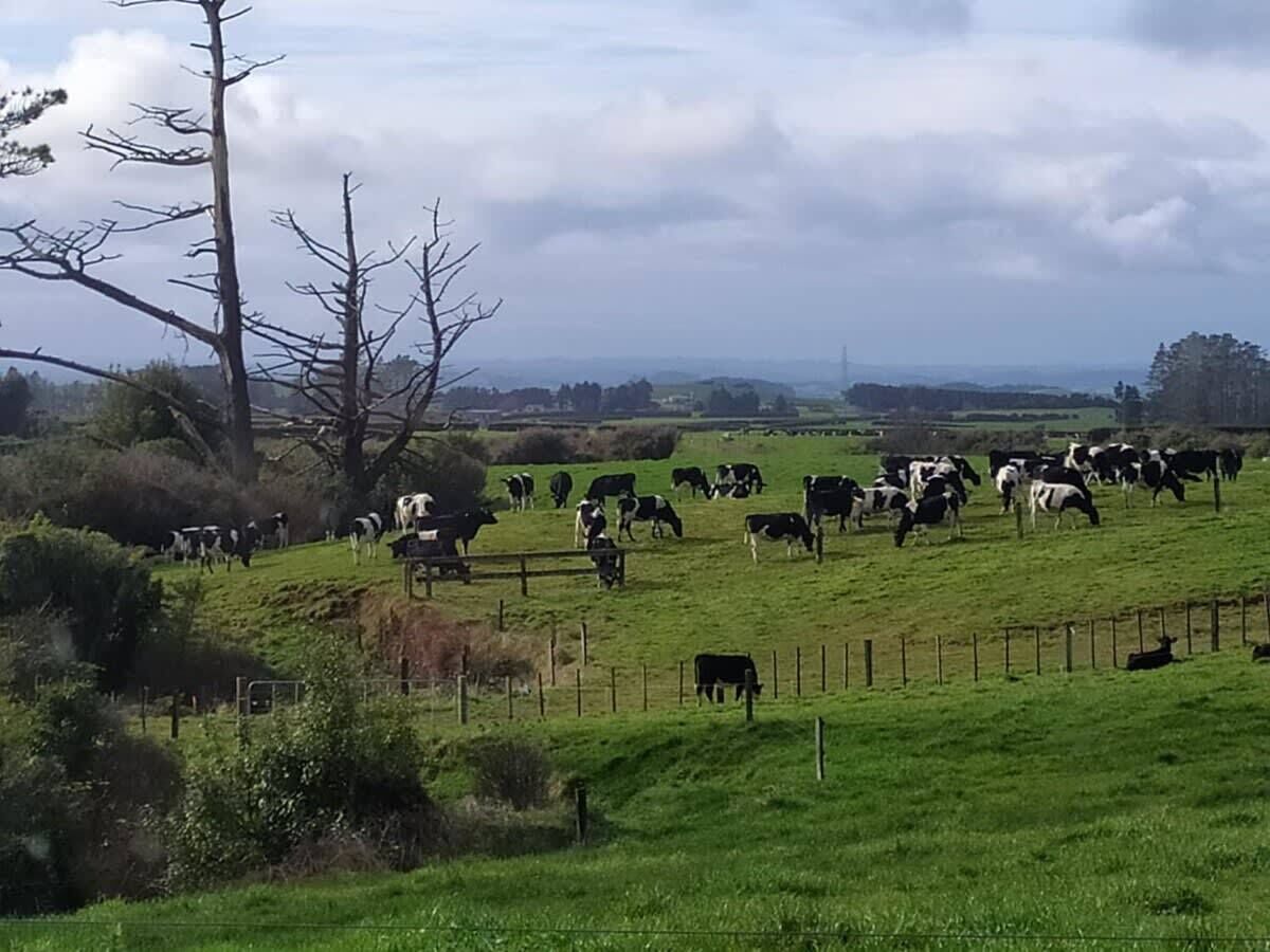1 chambre, bureau, draps fournis