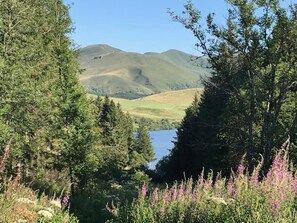 Property grounds - Charming studio with parking, mountain view, near Mont-Dore center (Mont-Dore)