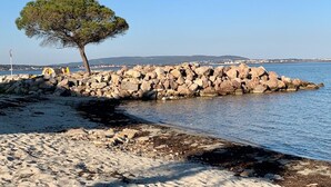 Un rivage rocheux avec un seul arbre, un ciel dégagé et une mer calme.
